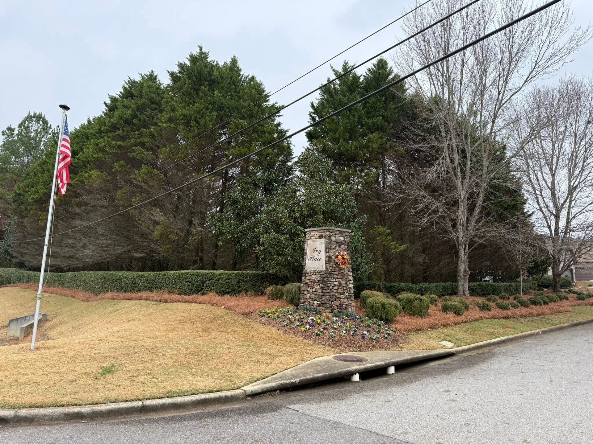 A neighborhood entrance sign with an American flag on a pole, set against evergreen trees and brown lawn on a cloudy day.