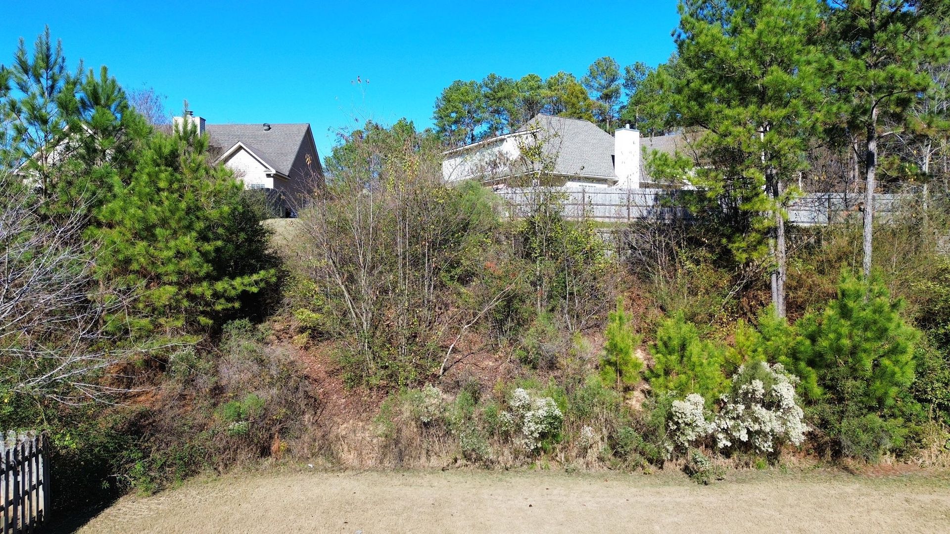 A sunny suburban backyard with a grass lawn in the foreground and a steep, wooded embankment leading to two houses.