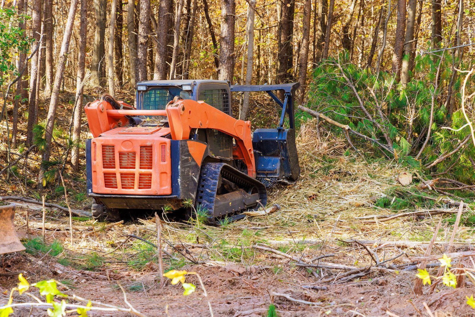 A shovel and gloves rest next to a small tree surrounded by red mulch in a grassy yard.