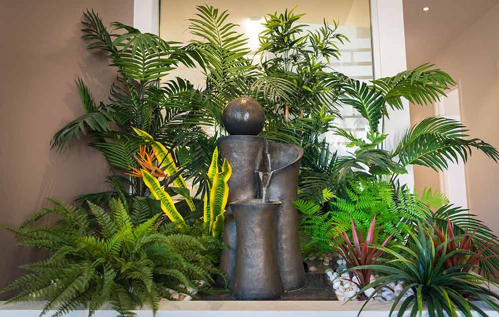 eltham dental clinic indoor plants