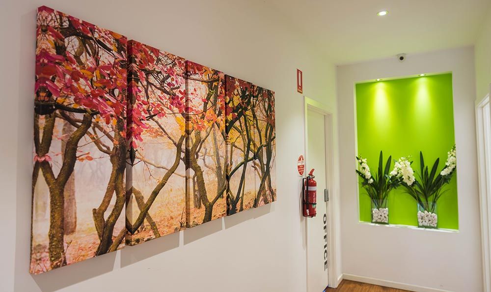 eltham dental clinic artwork on walls