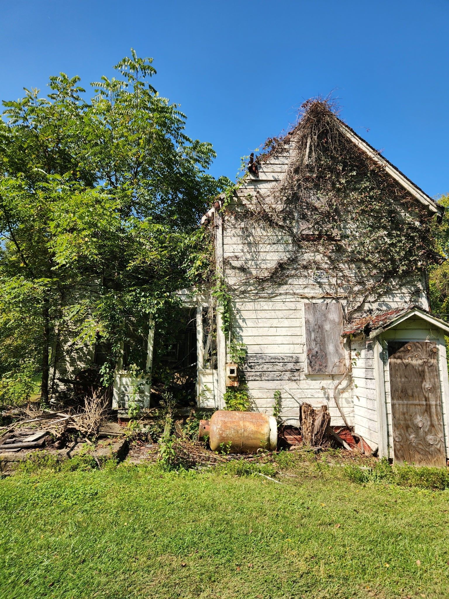 Dilapidated white house overgrown with vines and foliage under a blue sky.