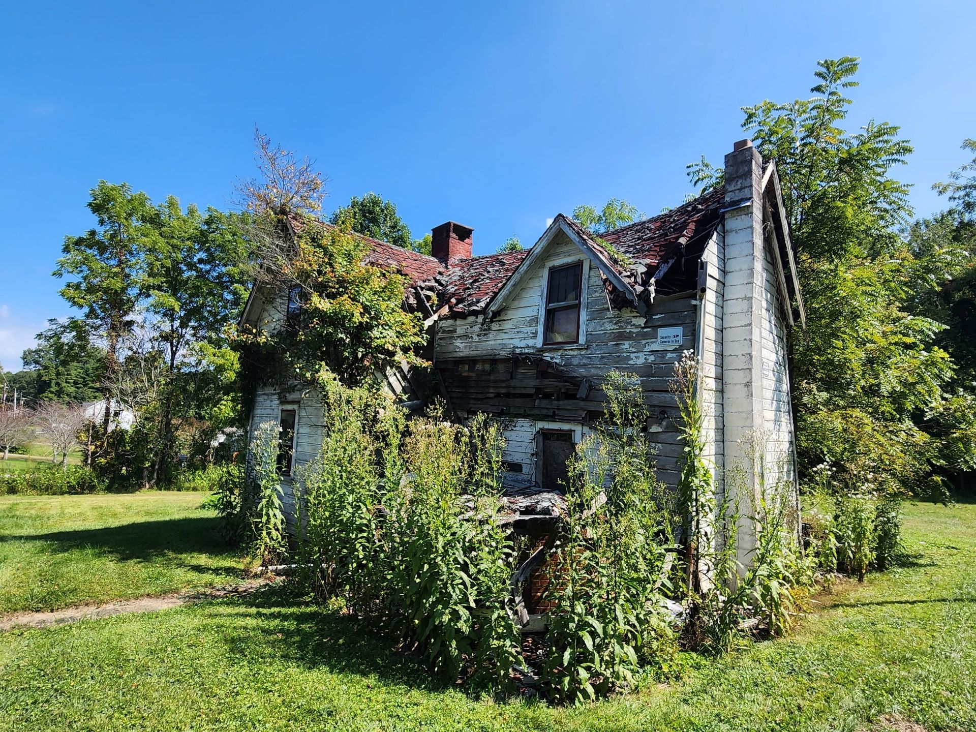 Dilapidated white house overgrown with plants under a blue sky.