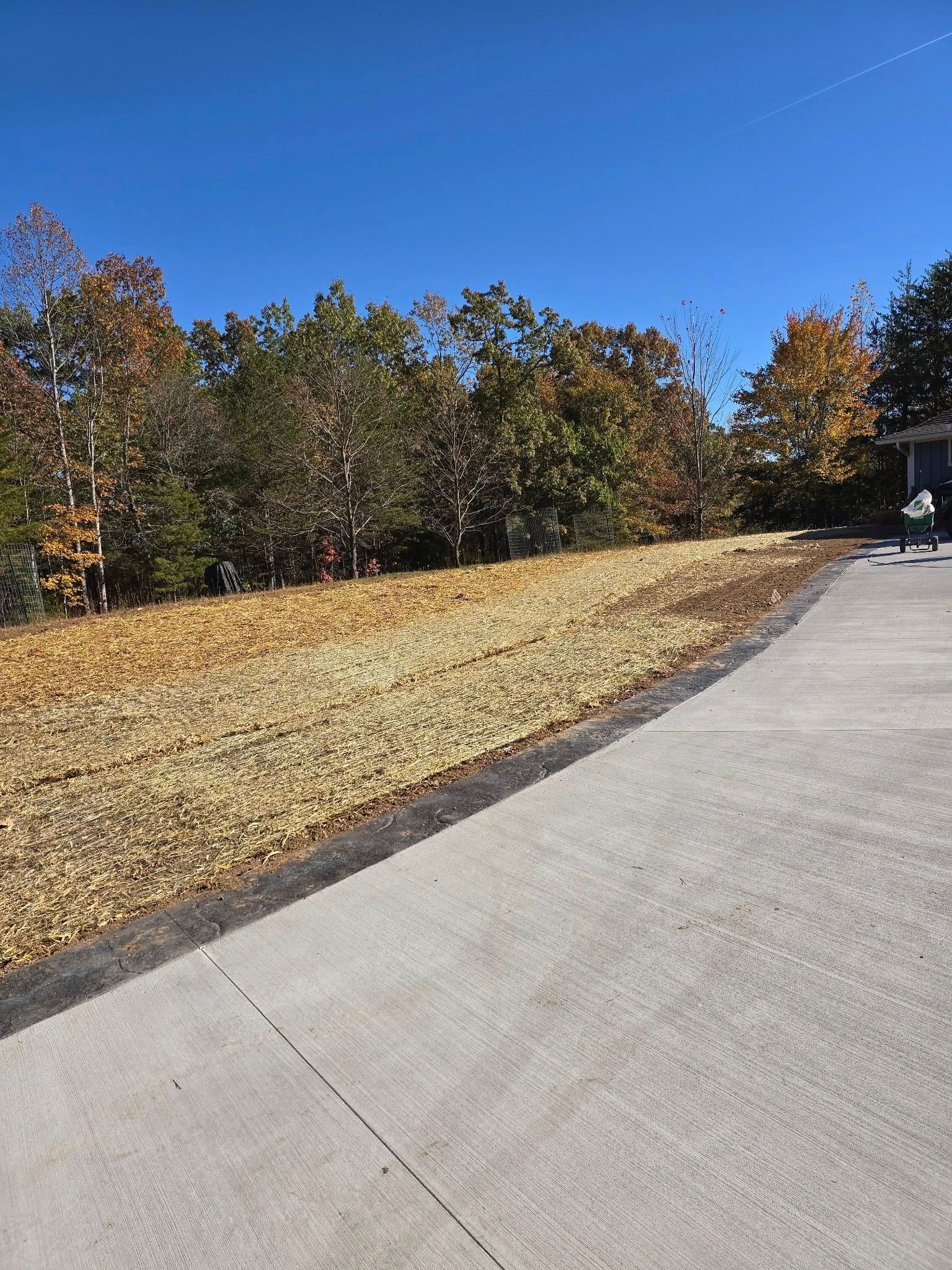 Grassy yard covered in fallen brown leaves, trees with autumn colors in background, blue sky. Concrete driveway.