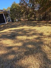 Dry, brown grass in a yard with a house on the left and trees in the background under a blue sky.