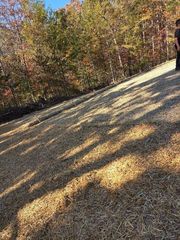 Sloped, grassy hill with long shadows cast by trees, autumn foliage in background. Person on the right.