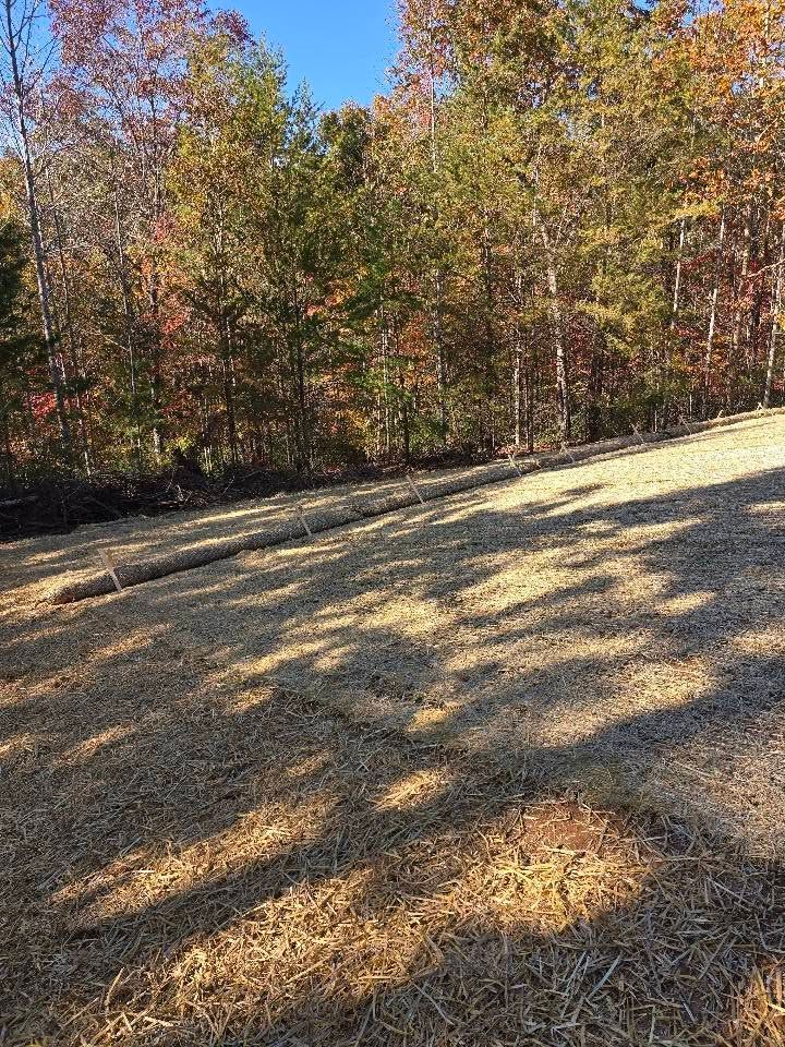 Sloping field covered with straw, with trees in the background showing fall colors, under a clear blue sky.