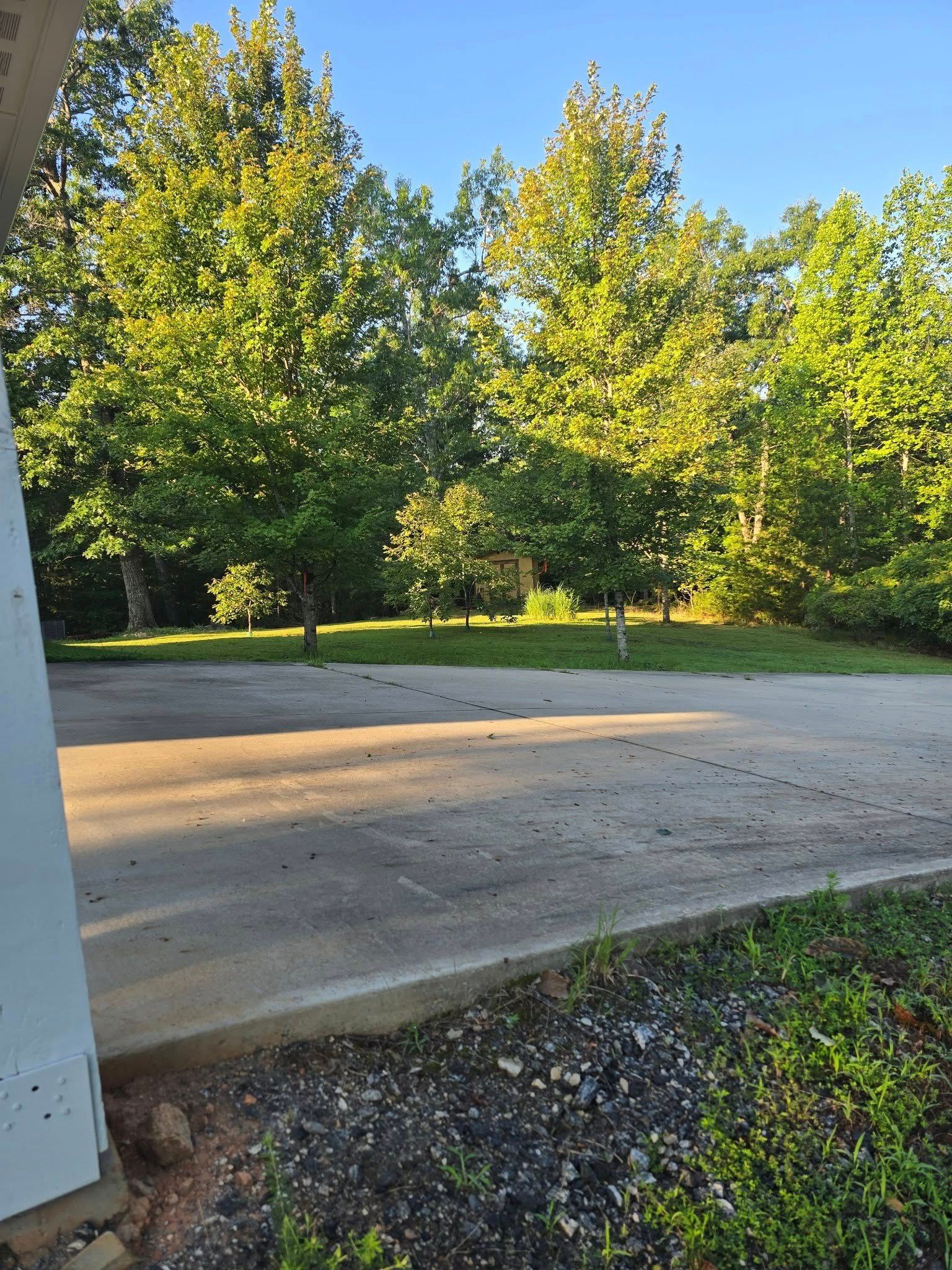 Paved driveway leading toward a line of trees with green foliage under a clear blue sky.