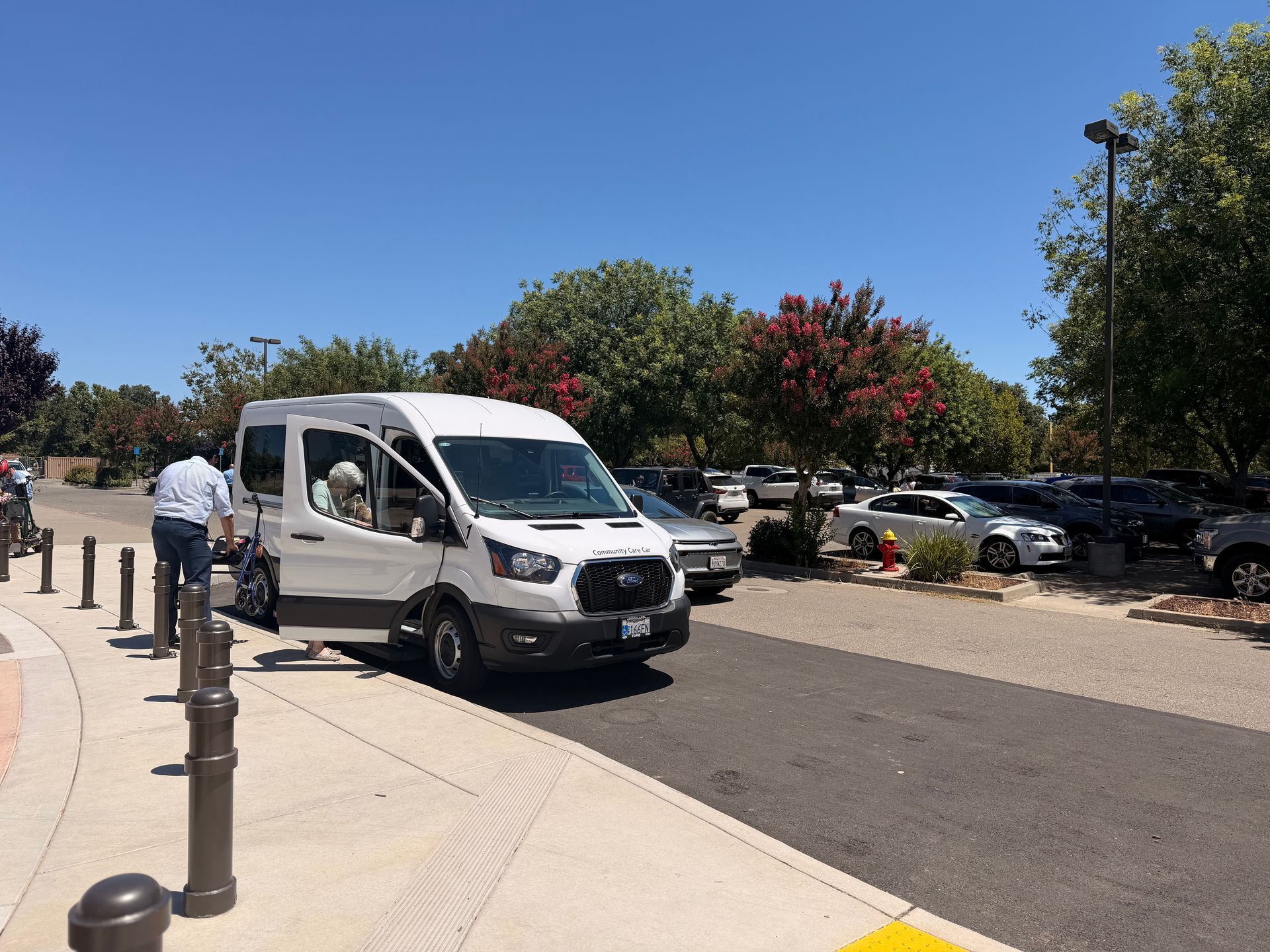 White van parked beside a sidewalk in a sunny parking lot with trees and cars in the background