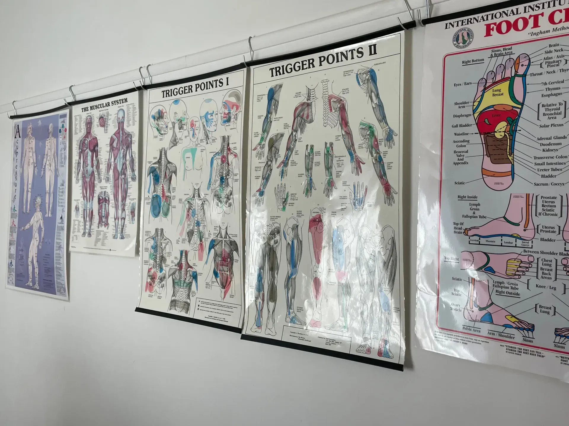 A row of posters hanging on a wall with one that says ' throat points ii ' on it. — Aloha Therapeutic Massage In Gillen, NT