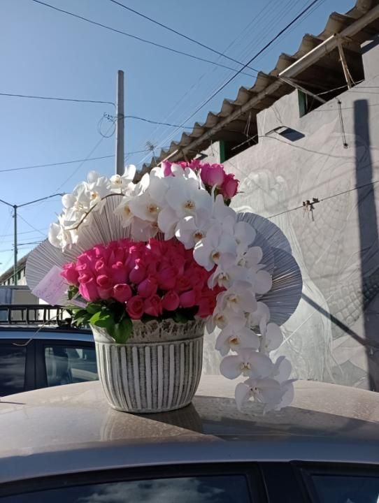 AMÉRICA DISEÑO FLORAL