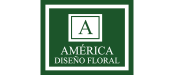 AMÉRICA DISEÑO FLORAL