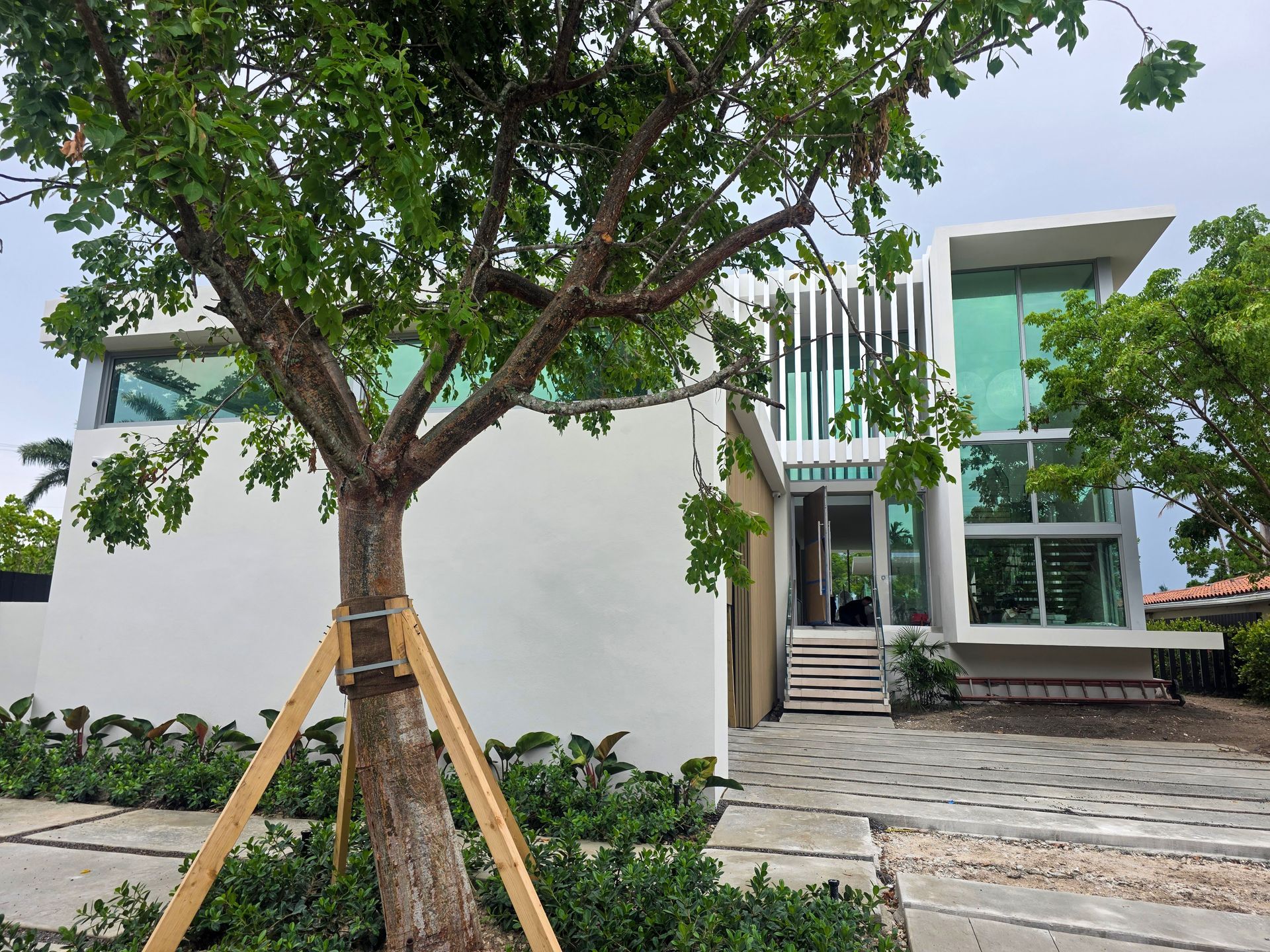 Modern white house with a tree in front.  Large windows, pathway, and landscaping.