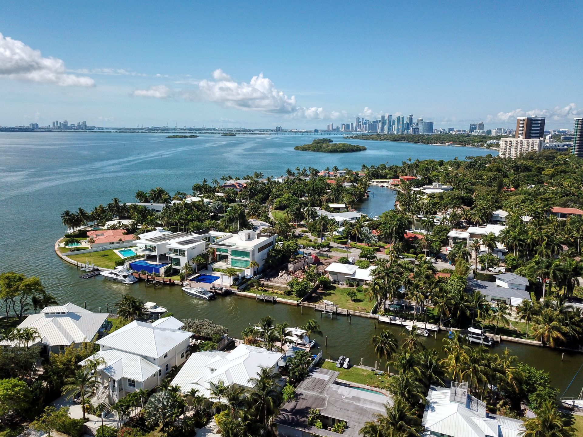 Waterfront houses and lush trees on a sunny coastline, city skyline in the distance.