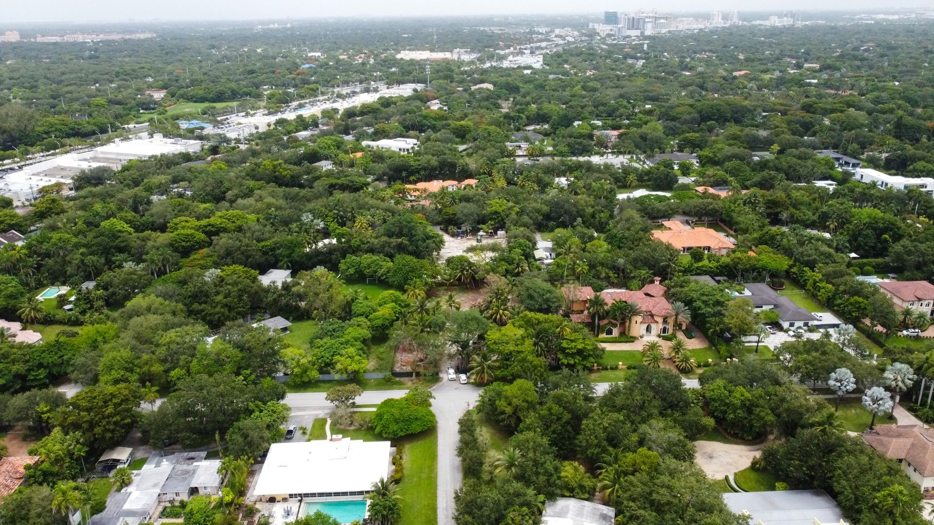 Aerial view of a suburban neighborhood, lush green trees, houses with red roofs, and a road.