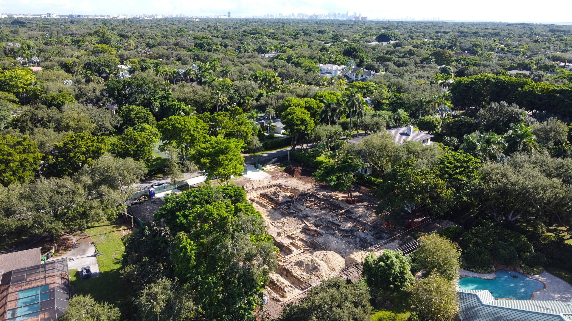 Aerial view of debris and trees in a residential area; possible damage from an event.