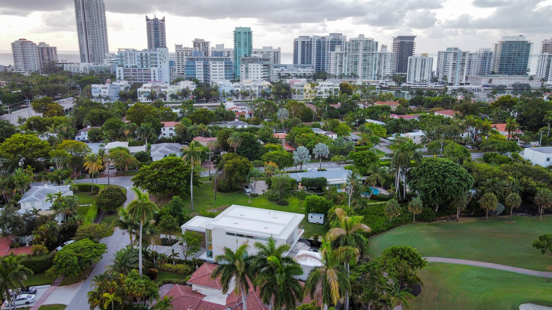Aerial view of residential area with trees, houses, and a city skyline in the background under a cloudy sky.