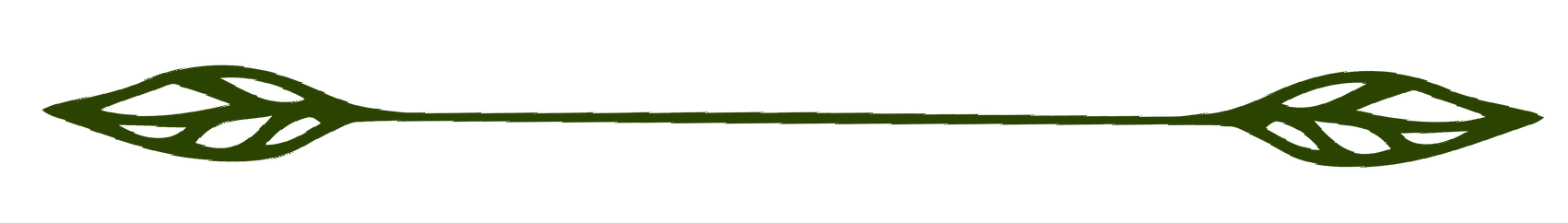 Green decorative line with leaf-like accents on each end.