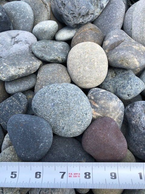 2-3 inch Black Mexican Beach Pebbles  - River Rounds in Florida
