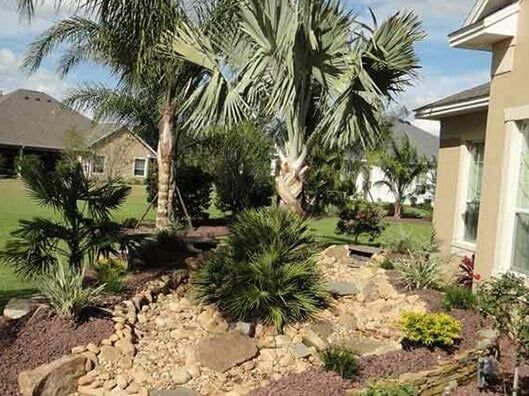 Tree Landscape - Custom Scapes in Florida