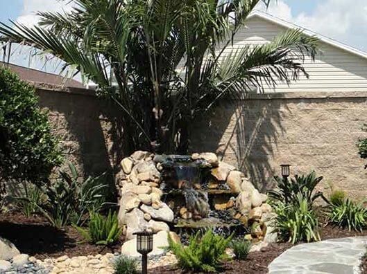 Tree Landscaping - Custom Scapes in Florida