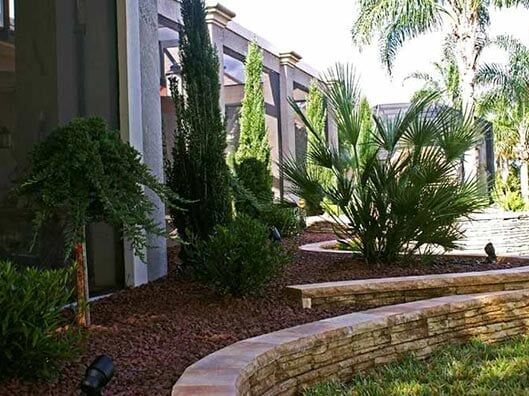 Landscaping With Trees - Luke's Landscaping in Florida
