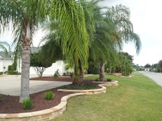 Side Landscapes - Brandon's Landscape in Florida