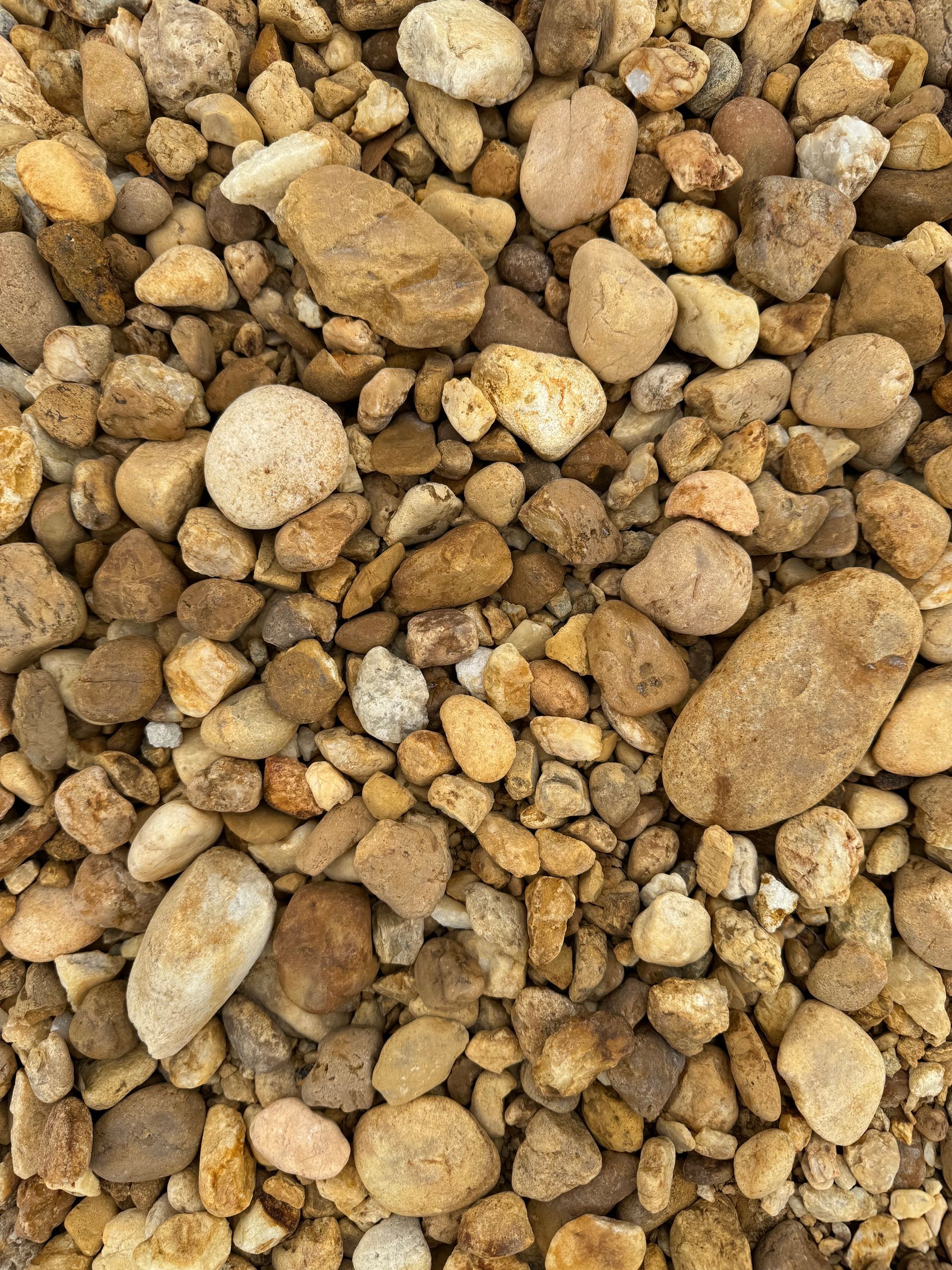 Washed sea shell - Gravel Products in Florida