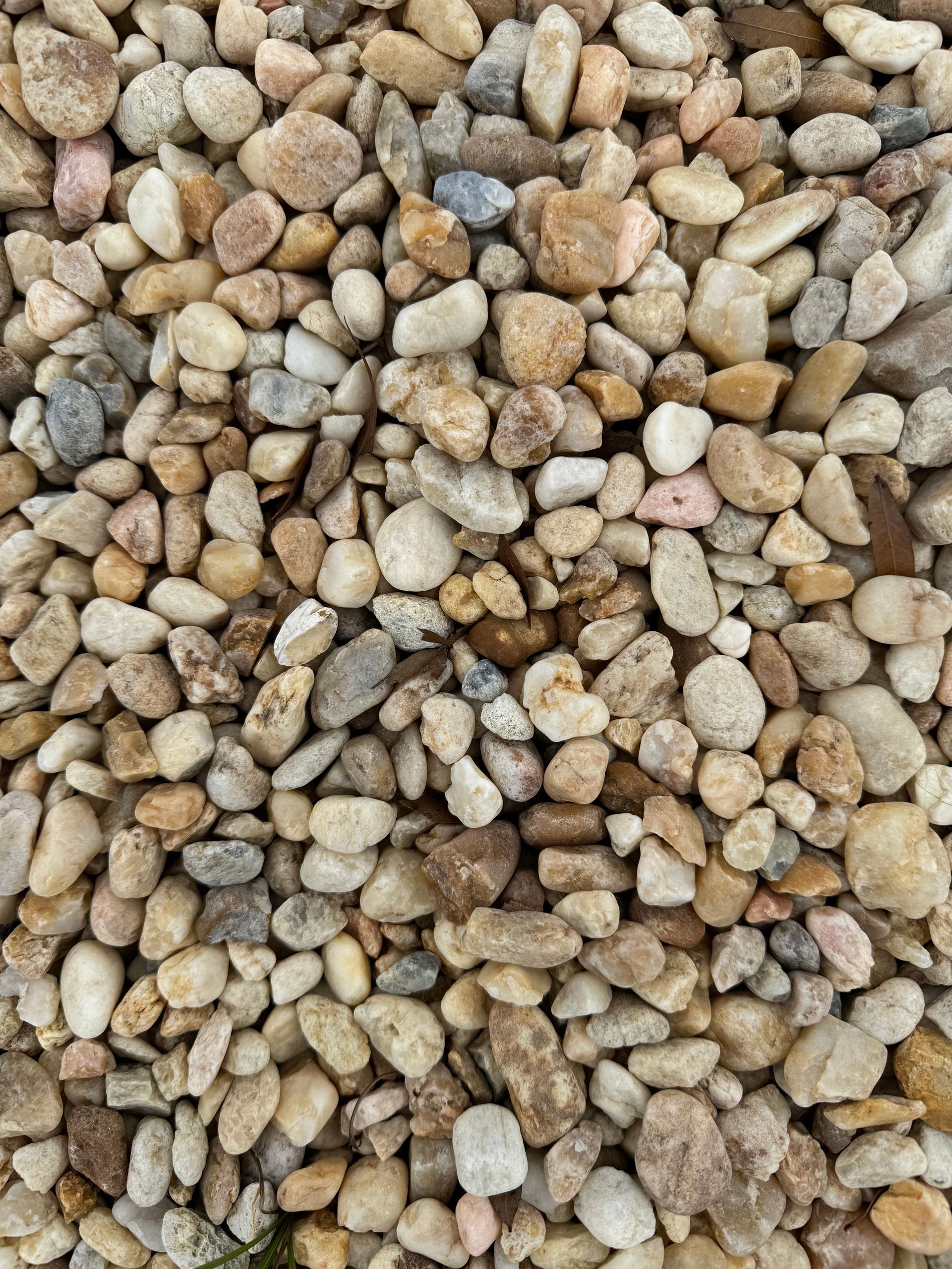 Washed sea shell - Gravel Products in Florida