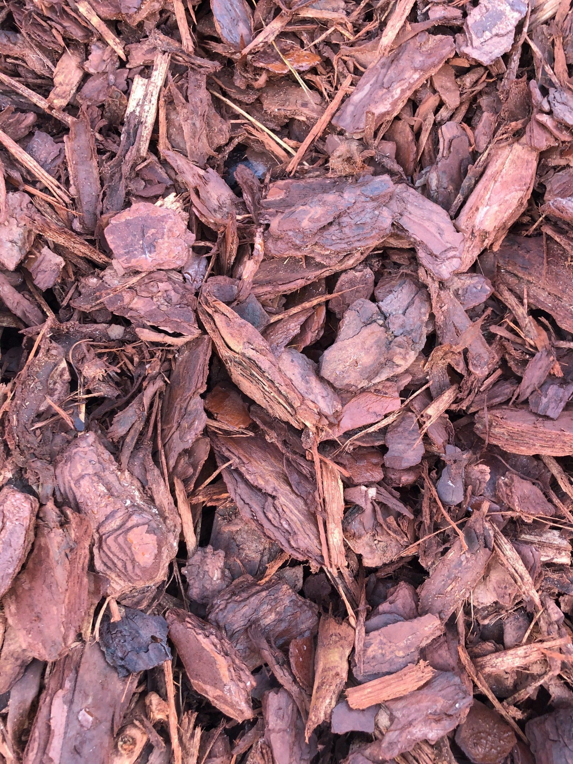 Red Pine Bark - Mulch Products in Florida