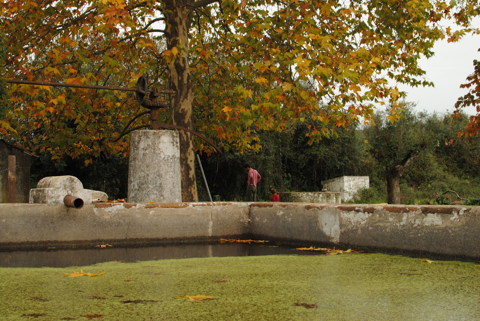 nora, noria, ancient water reservoir, tanque de rega.