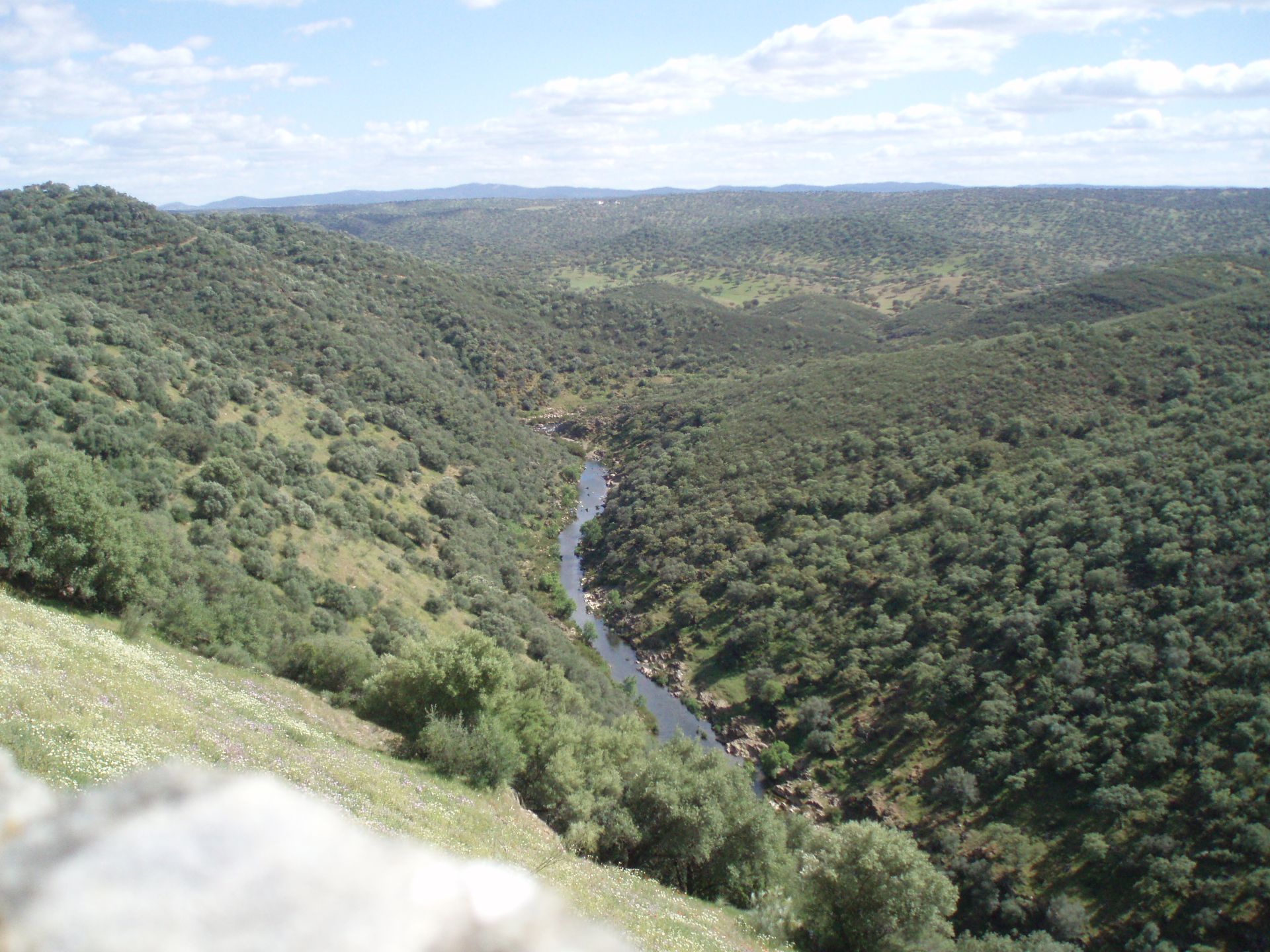 Open area landscape, river, trees, Alentejo, paisagem, rio, árvores, mediterrâneo
