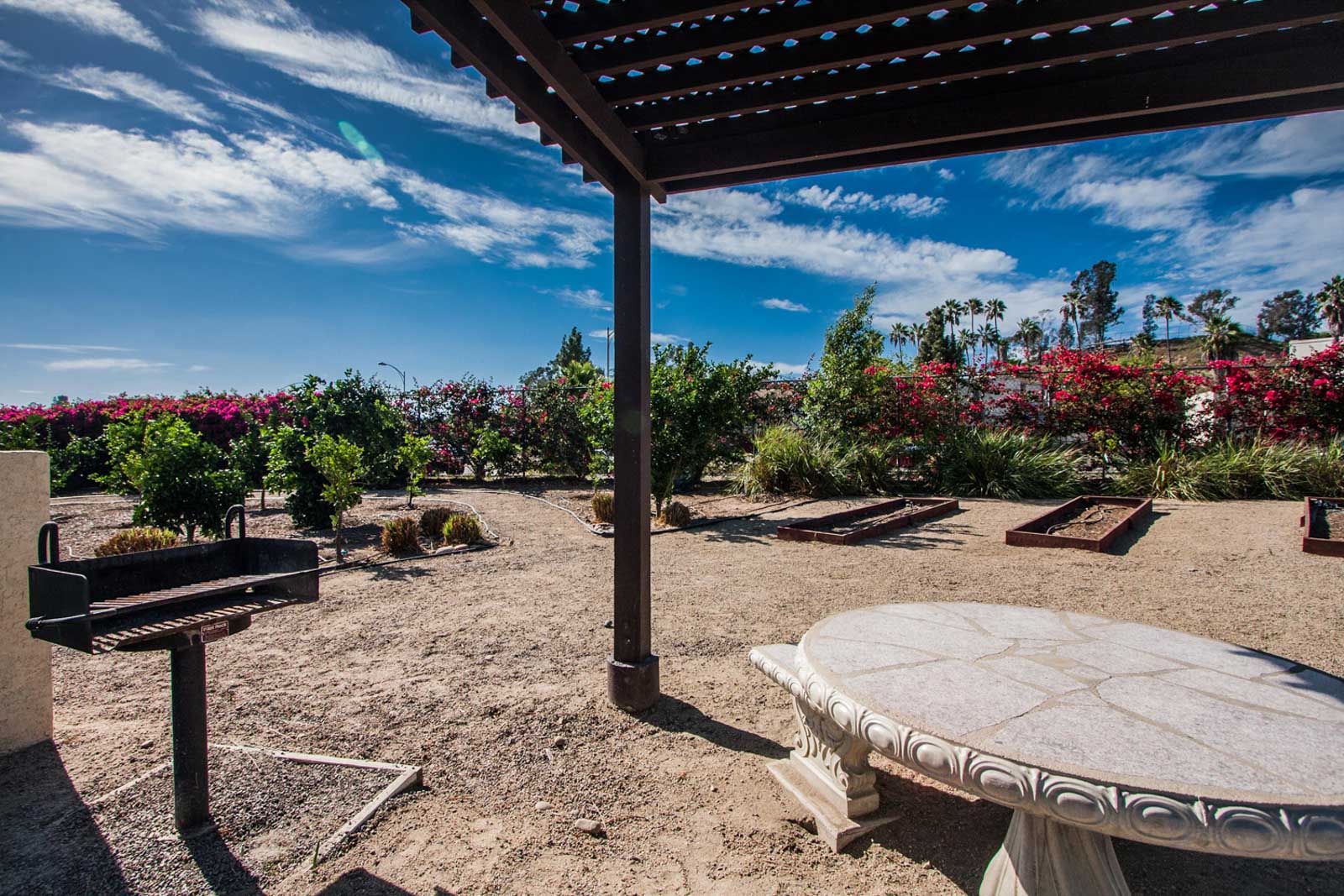 A barbecue area in the garden