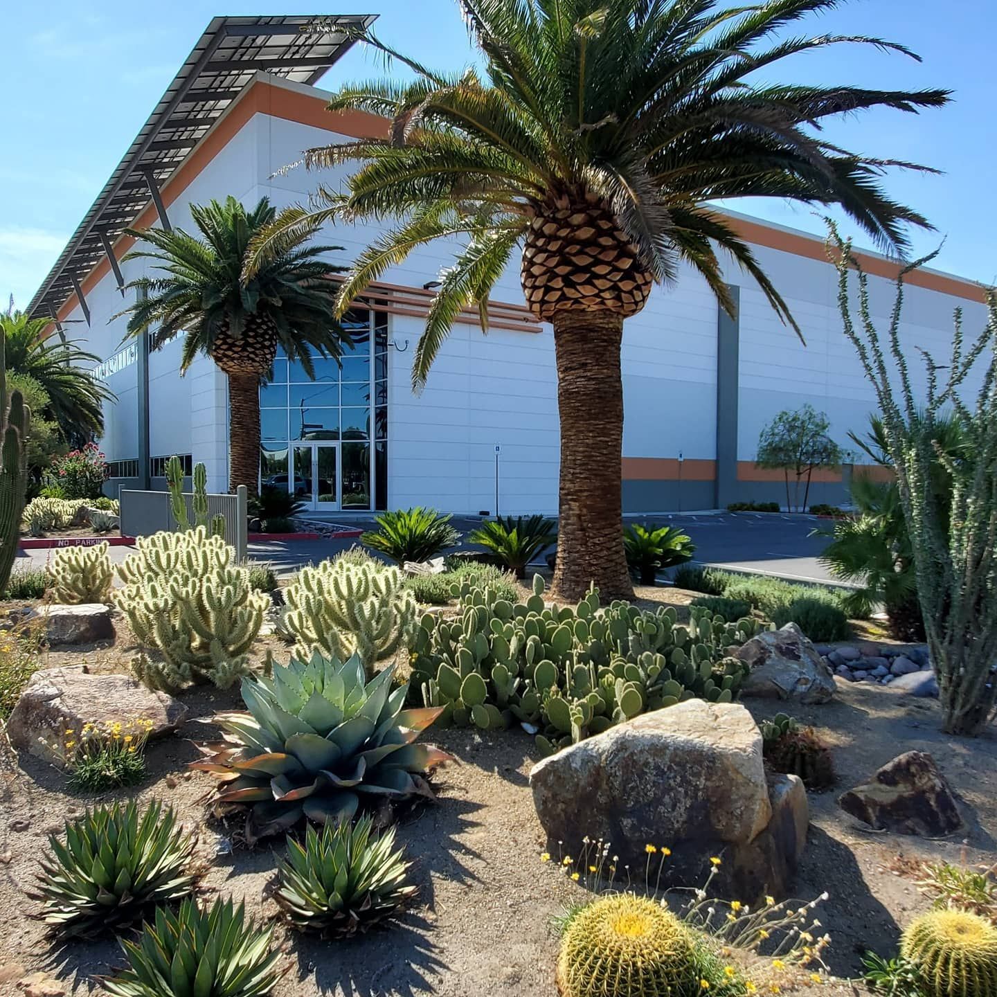 Lit-up house at night, with a tree and low-lying lights illuminating the yard and facade. A car is parked in the driveway.