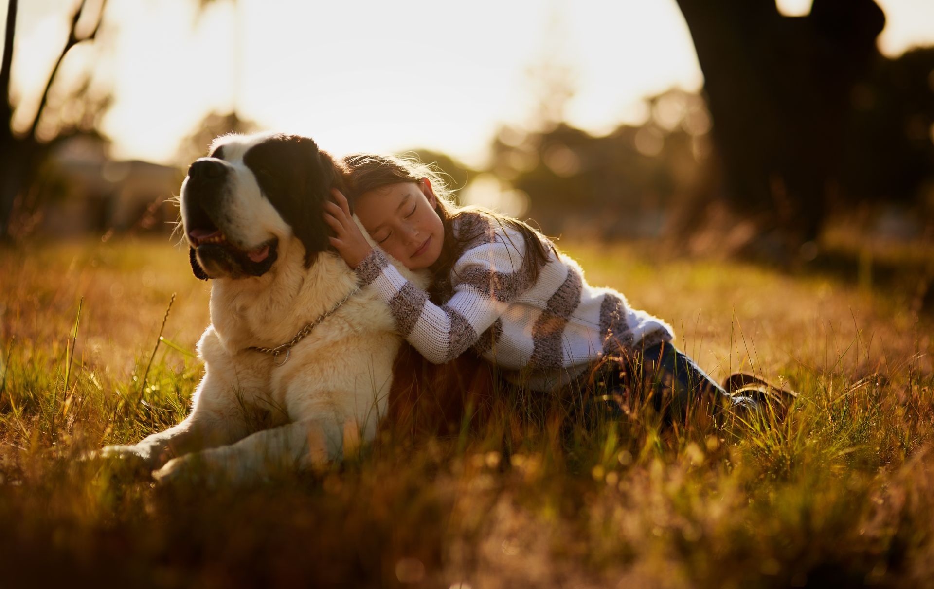 A child hugs a large, long-haired dog while resting on a grassy field during golden hour.
