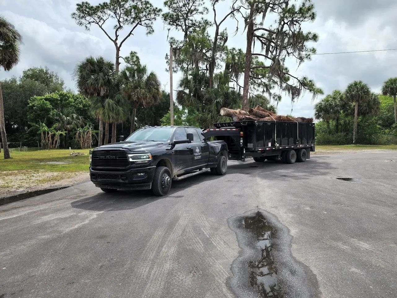 Black pickup truck towing a trailer loaded with tree debris on a paved road, overcast day.