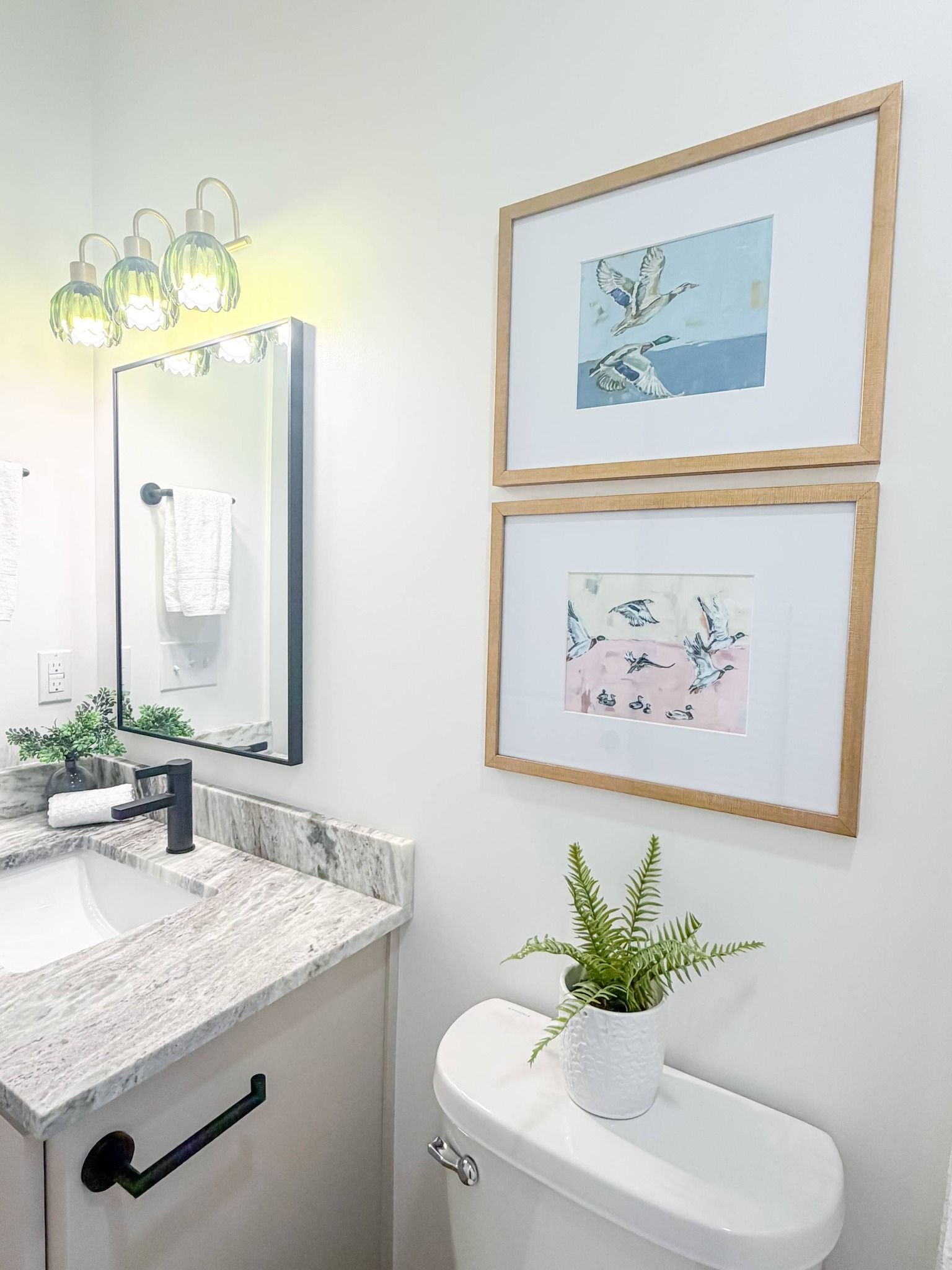 A bathroom vanity with a white sink, granite countertop, light wood-framed art, and a small potted fern on a toilet tank.