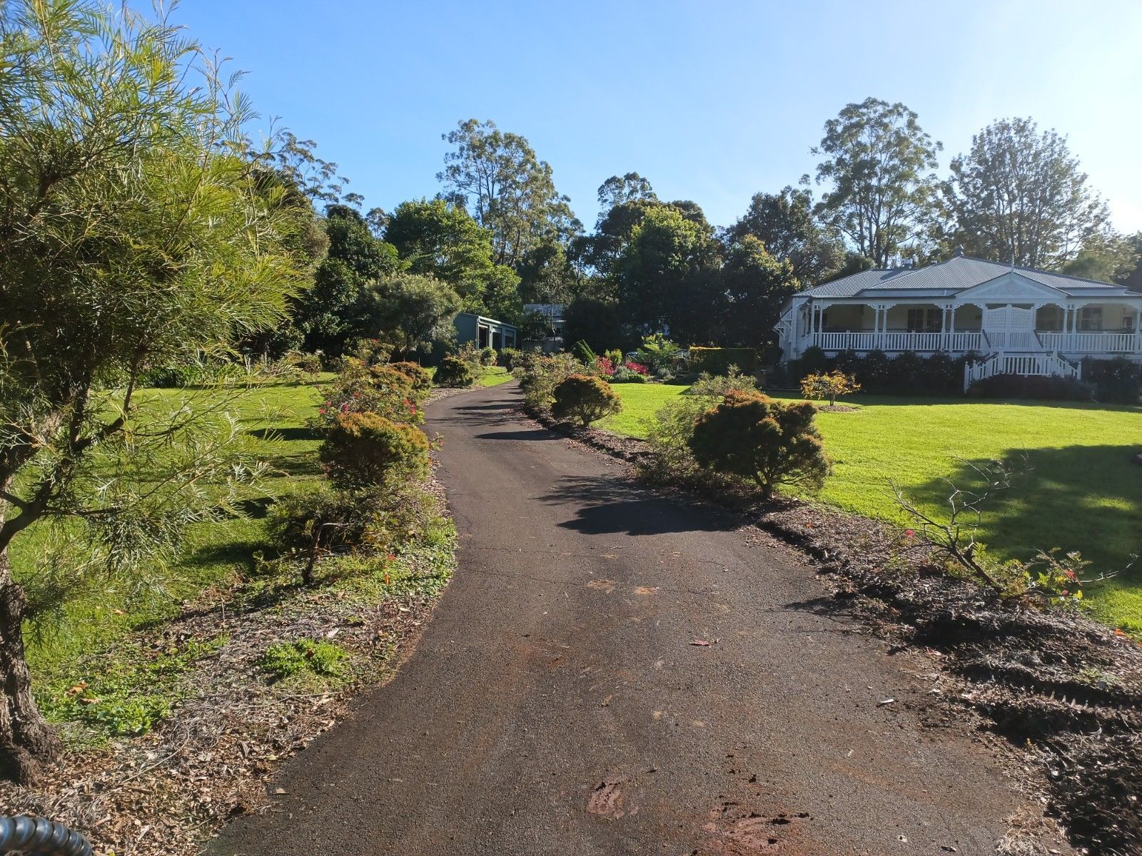 A driveway leading to a house with trees on both sides