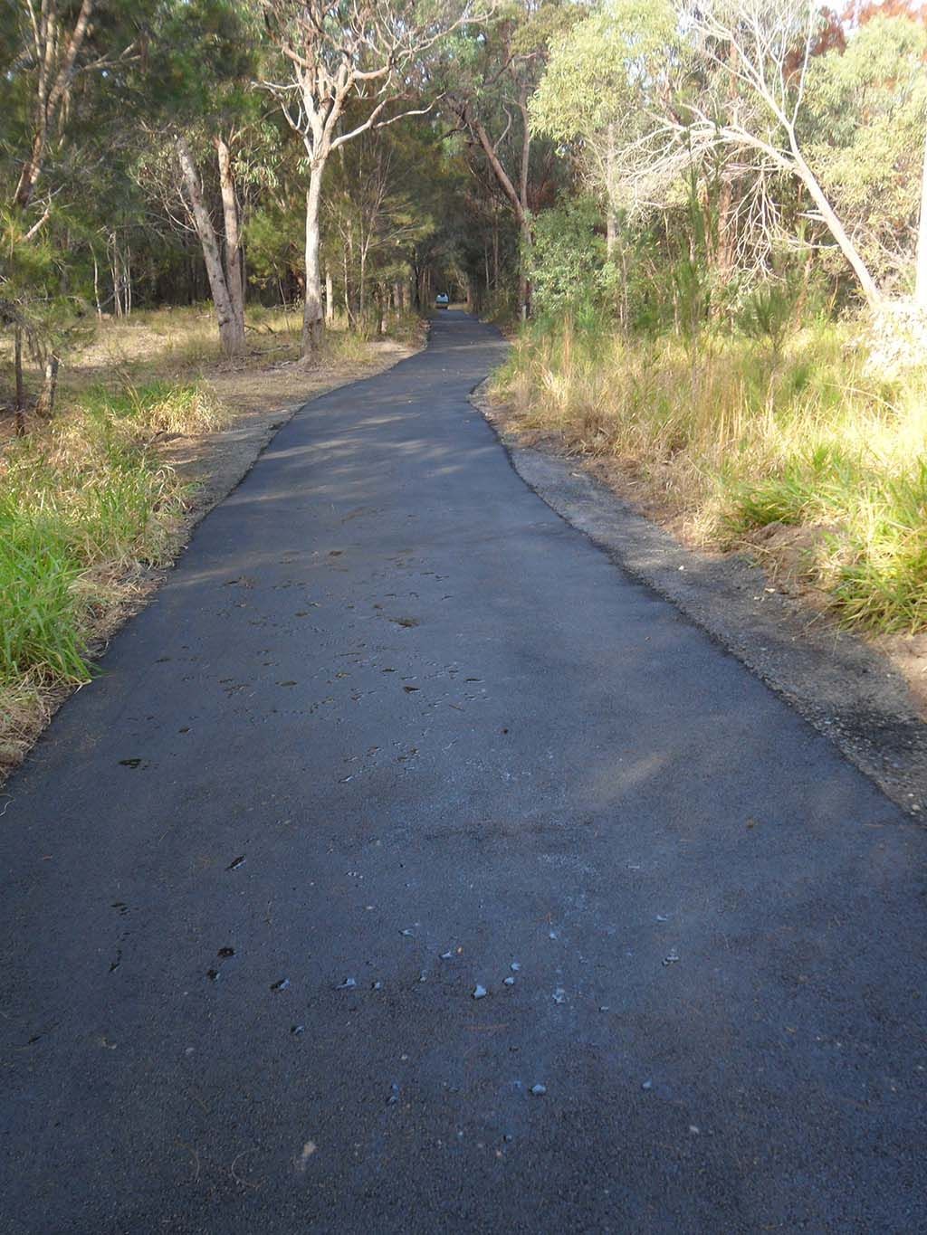 A road going through a forest with trees on both sides