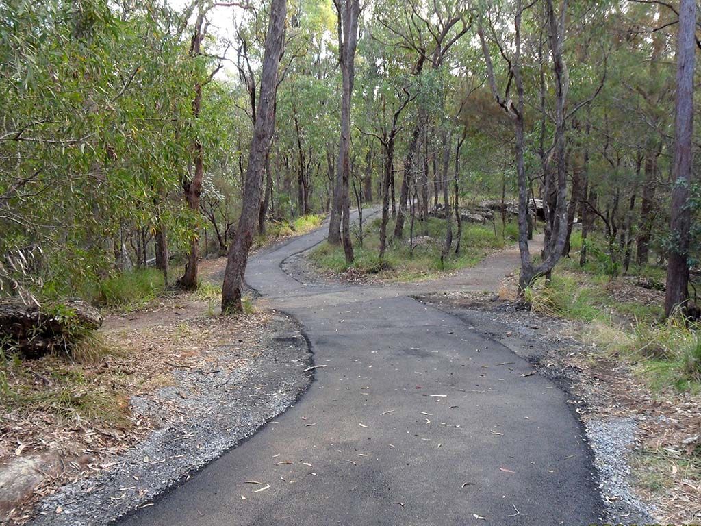 A road in the middle of a forest with trees on both sides