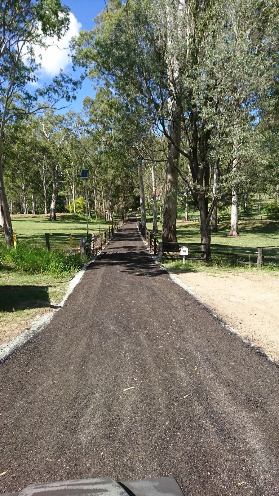 A dirt road going through a park with trees on both sides.
