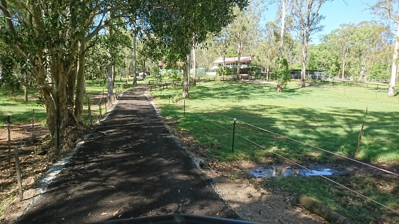 A dirt road going through a grassy field with trees on both sides.