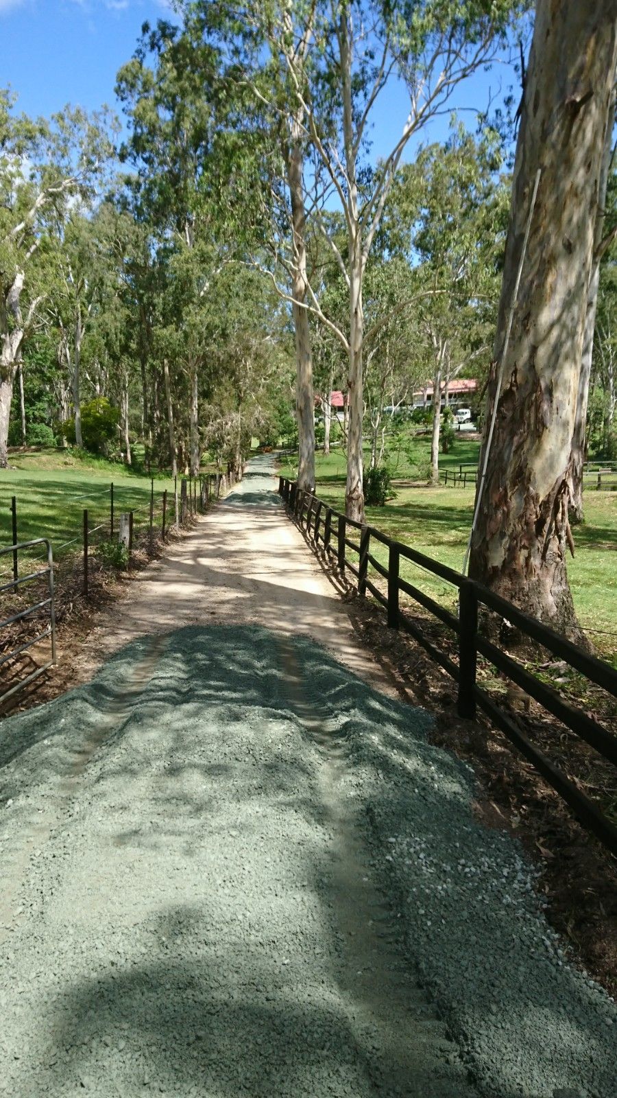 A dirt road surrounded by trees and grass with a wooden fence.