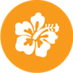 A white hibiscus flower is in an orange circle.