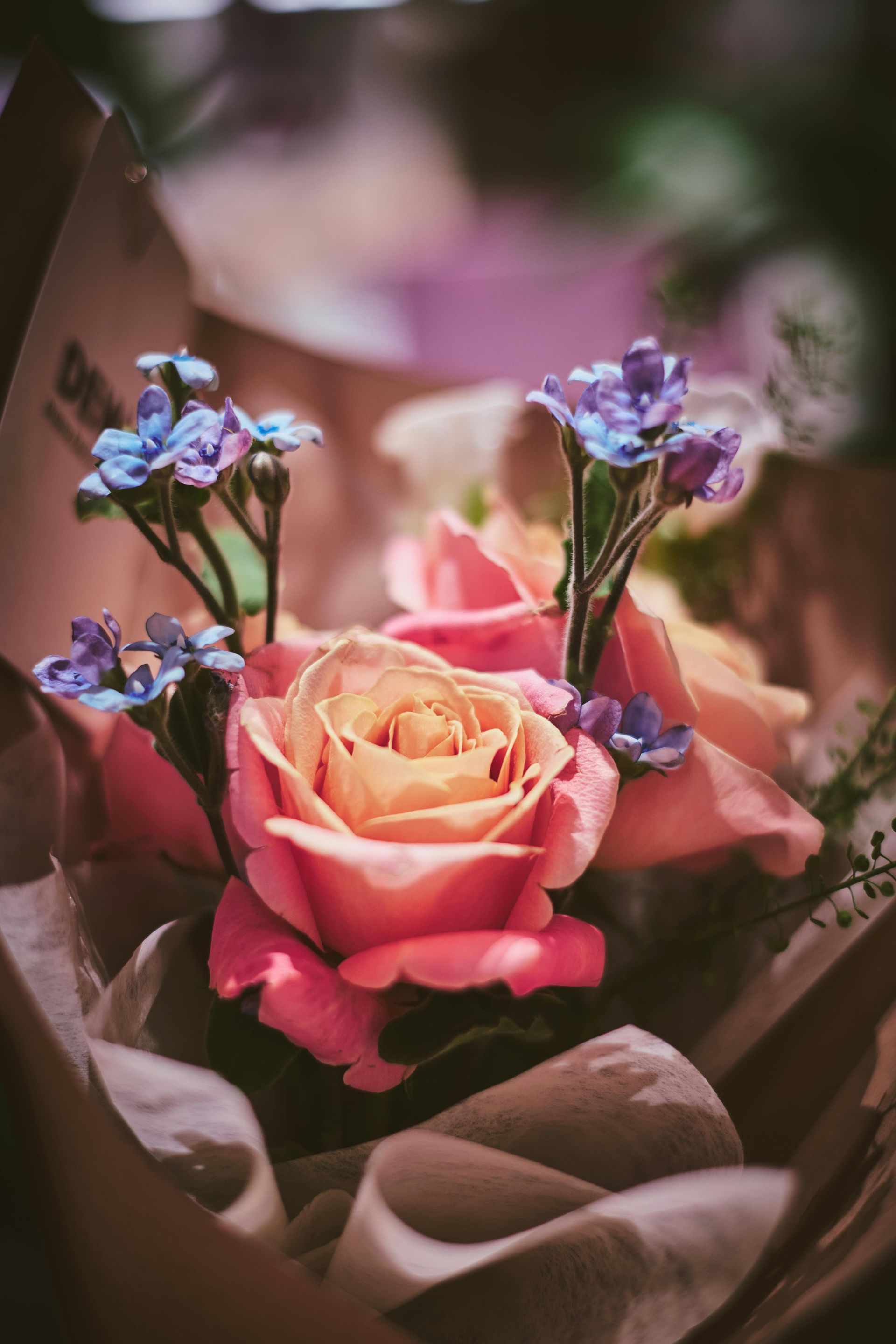 Pink rose with purple flowers in a soft-focus bouquet