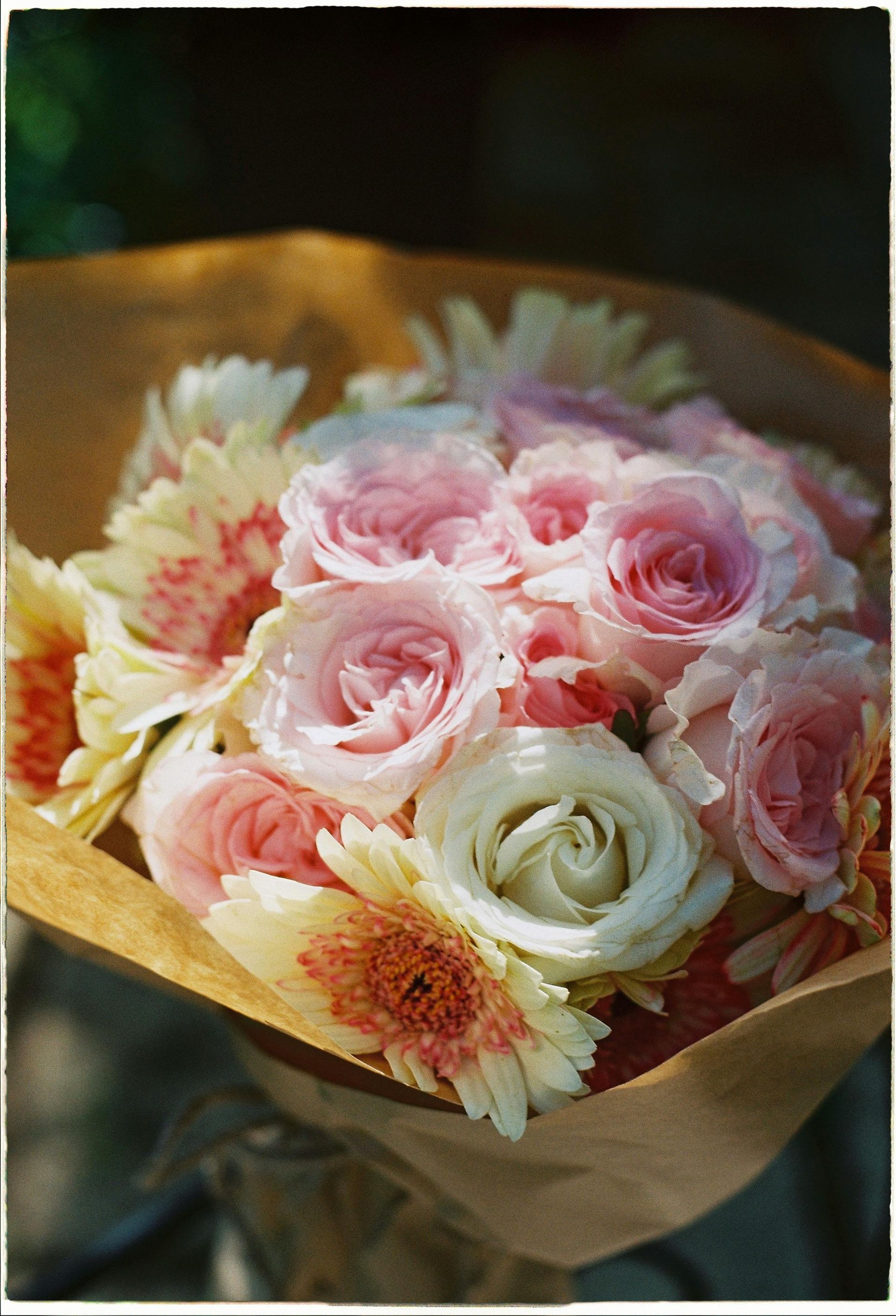 Pink and white roses in a wrapped bouquet with pale yellow flowers