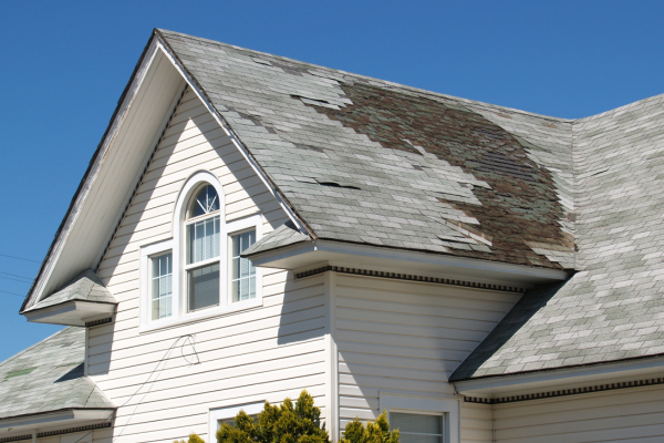 A white house with a roof that has a lot of moss on it