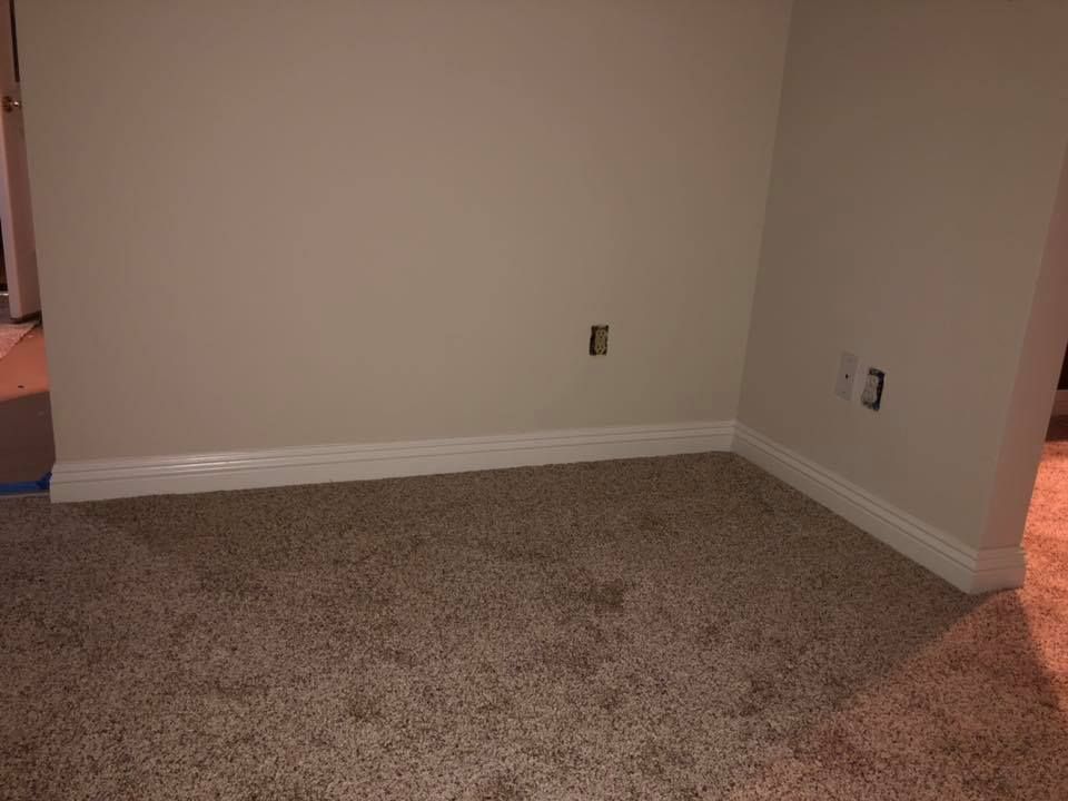 An empty room with a carpeted floor and a white wall.