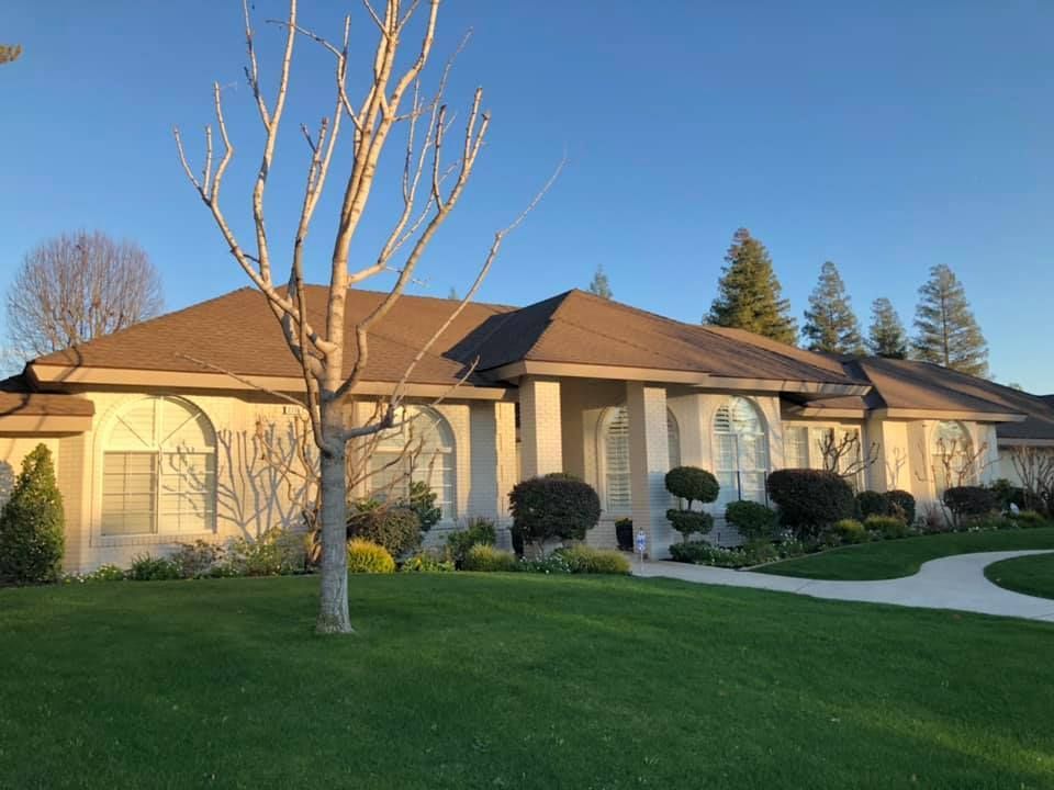 A large house with a tree in front of it