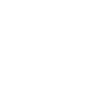 puzzle icon